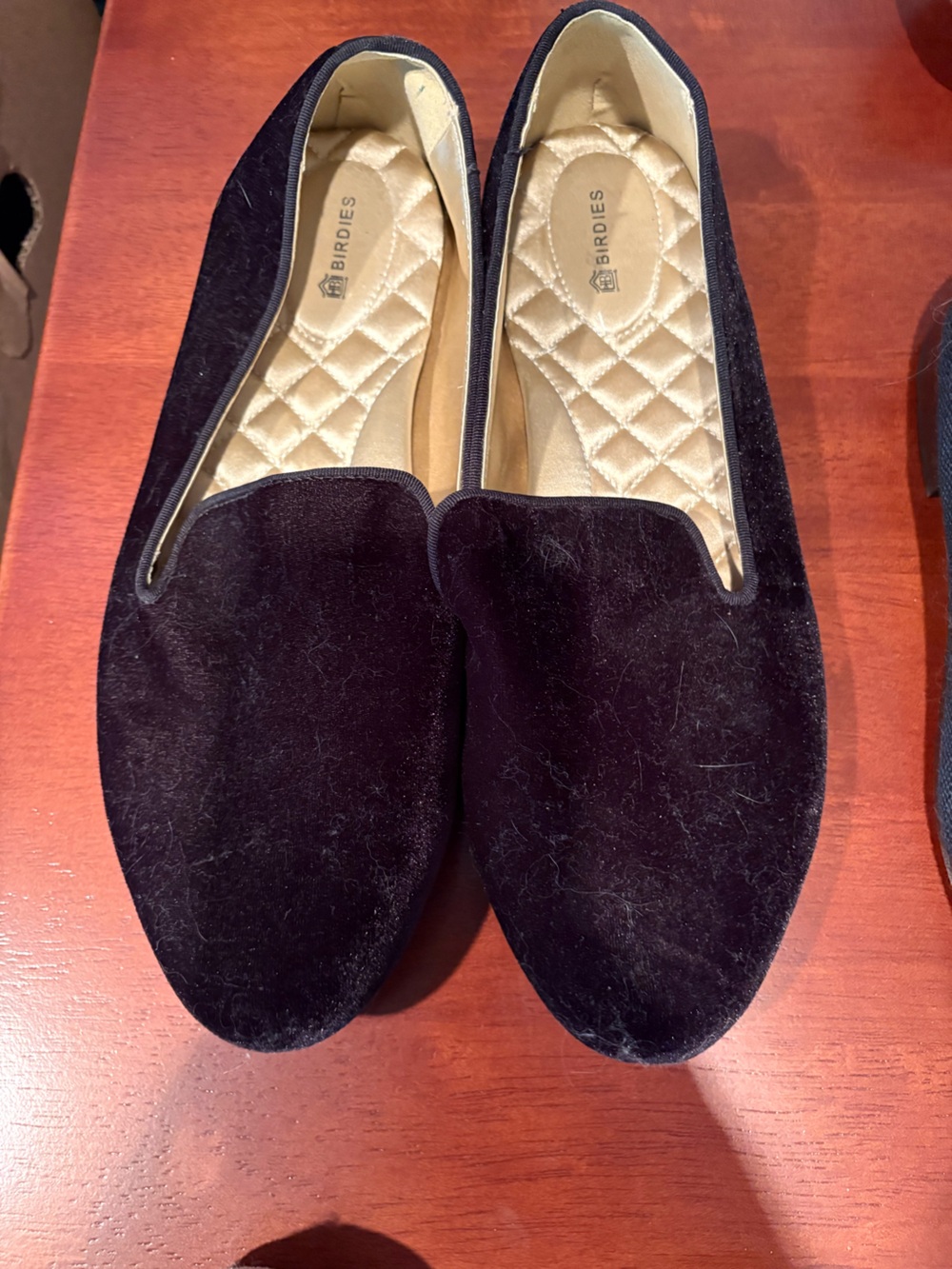 Birdies Women’s Black Velvet Slip-On Loafers